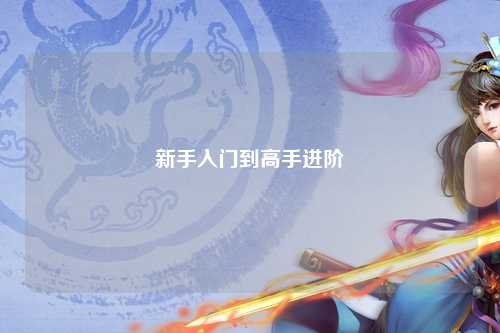 新手入门到高手进阶
