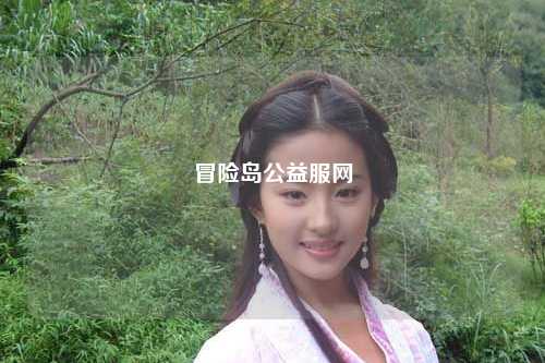 冒险岛公益服网